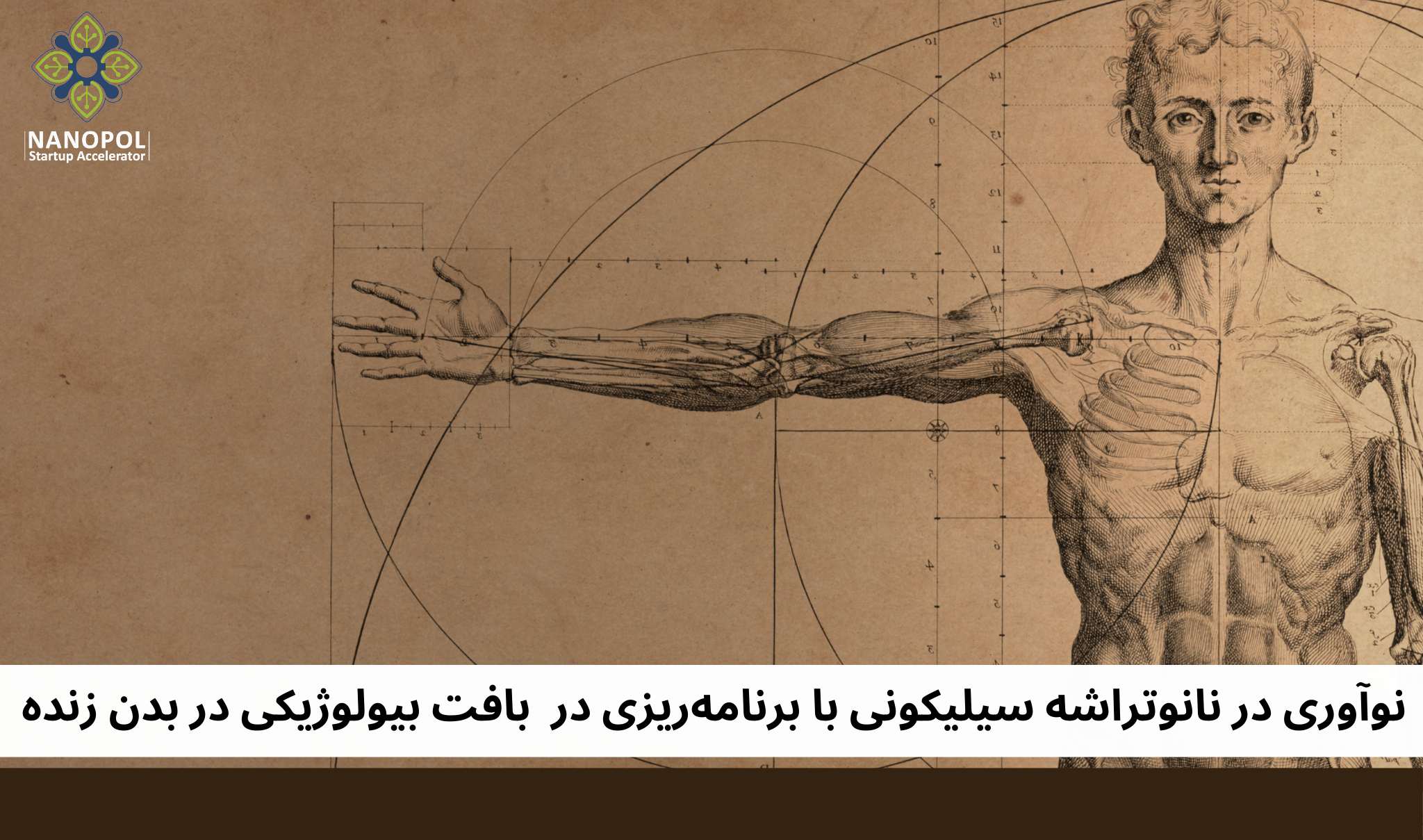 نوآوری در نانوتراشه سیلیکونی که میتواند بافت بیولوژیکی را در بدن زنده ...
