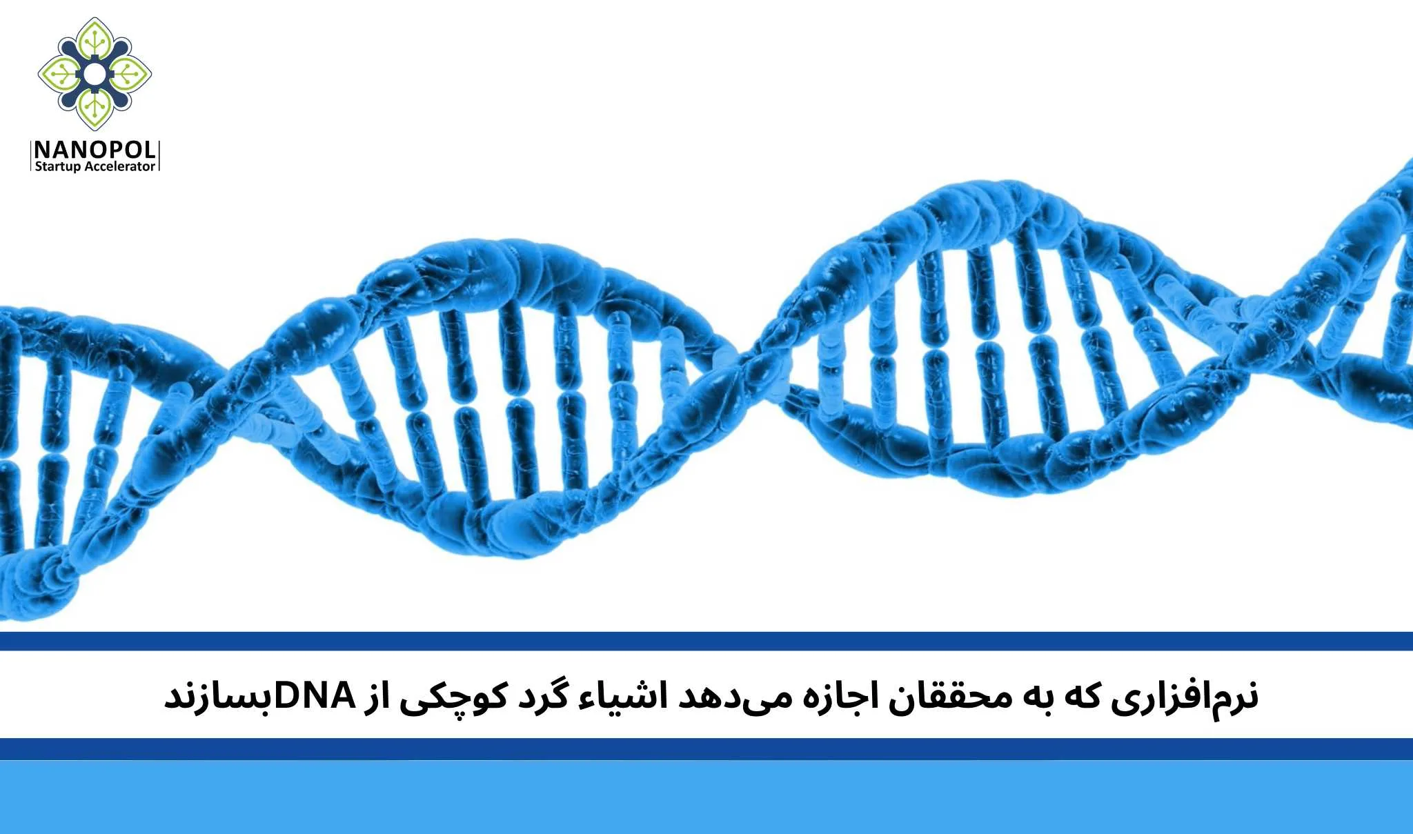 نرم‌افزاری که به محققان اجازه می‌دهد اشیاء گرد کوچکی از DNA بسازند، دلیل جذابیت این فناوری چیست؟