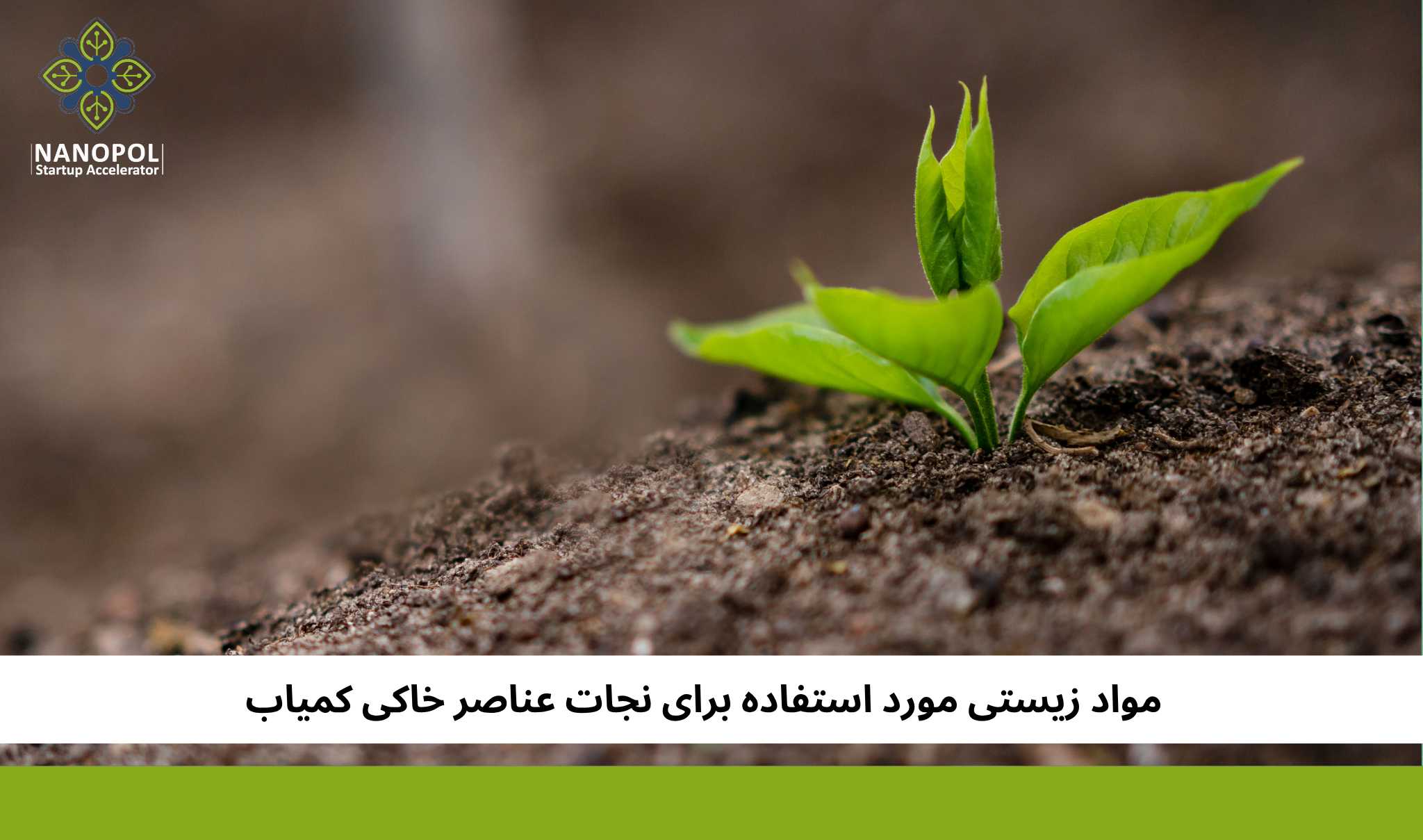 کمپوست به کامپیوتر: مواد زیستی مورد استفاده برای نجات عناصر خاکی کمیاب