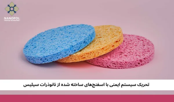 تحریک سیستم ایمنی با اسفنجهای ساخته شده از نانوذرات سیلیس