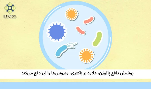 پوشش دافع پاتوژن، علاوه بر باکتری، ویروس‌ها را نیز دفع می‌کند