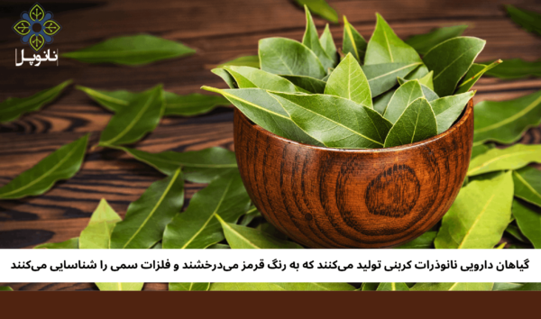 گیاهان دارویی نانوذرات کربنی تولید میکنند که به رنگ قرمز میدرخشند و فلزات سمی را شناسایی میکنند