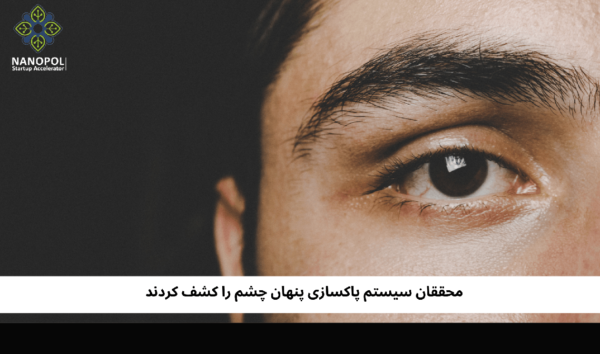 محققان سیستم پاکسازی پنهان چشم را کشف کردند