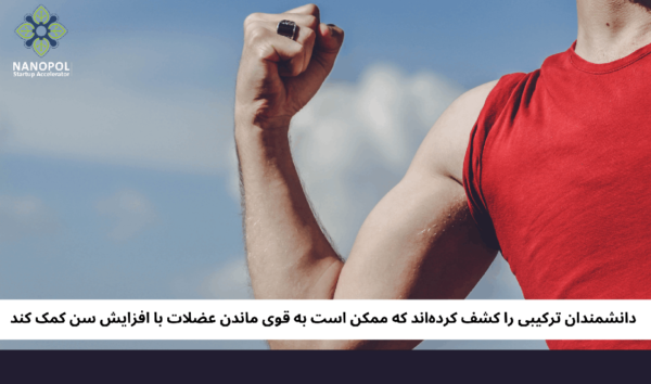 دانشمندان ترکیبی را کشف کردهاند که ممکن است به قوی ماندن عضلات با افزایش سن کمک کند