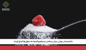 دانشمندان روشی برای رساندن مستقیم قندها به سلولها ابداع کردند