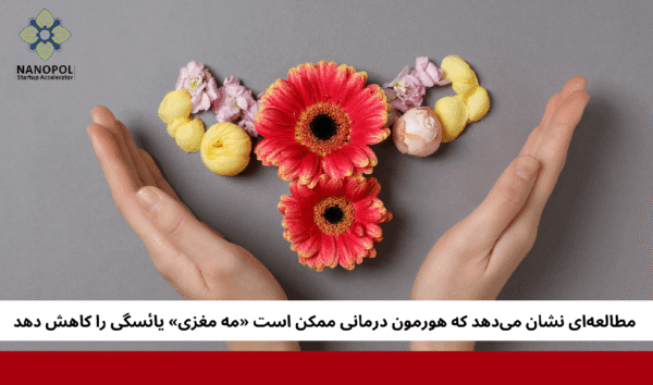 مطالعهای نشان میدهد که هورمون درمانی ممکن است «مه مغزی» یائسگی را کاهش دهد